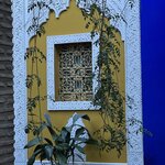 Photo taken by Zhou Z