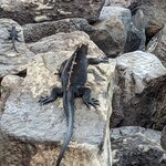 Photo taken by Jennifer A