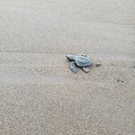 Photo taken by Camille S