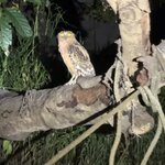 Photo taken by Edit M