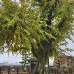 Photo taken by Zulhelmi R