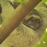 Photo taken by Skye C