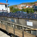 Photo taken by joe h