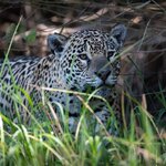 Photo taken by Matt W