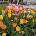 Photo taken by Karen M