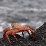 Photo taken by Joseph P