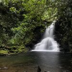 Photo taken by meachumdds@gmail.com M