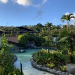 Photo taken by Karen P