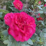 Photo taken by Gary G