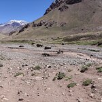 Photo taken by Barton K B