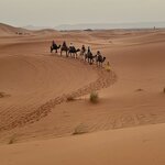 Photo taken by Cynthia F