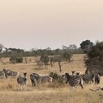 Photo taken by Joanne B