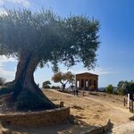 Photo taken by Bailey R