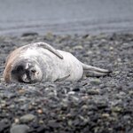 Photo taken by SANDRA V