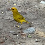 Photo taken by Emily F