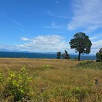 Photo taken by Ayesha A