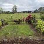 Photo taken by Morton A