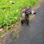 Photo taken by Kristy P