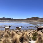 Photo taken by Shirley S