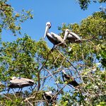 Photo taken by Garritt V