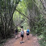 Photo taken by Lindsay H