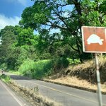 Photo taken by Katarzyna W