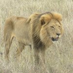 Photo taken by Kristin M