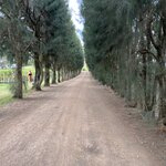 Photo taken by Joan B