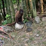 Photo taken by Nina S