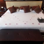 Photo taken by John B