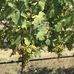 Photo taken by Seth D