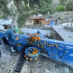 Photo taken by Hillel S