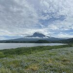 Photo taken by Susan M