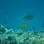 Photo taken by Chris M