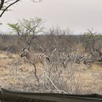 Photo taken by Nigel R