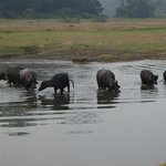 Photo taken by Arpita D