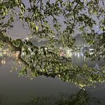 Photo taken by Susan R