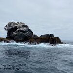 Photo taken by Kayla H