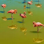 Photo taken by Katherine A