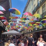 Photo taken by Rocky L