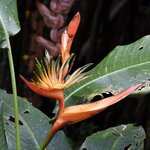 Photo taken by Joseph P