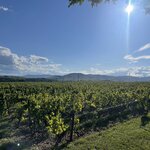 Photo taken by Melody B