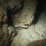 Photo taken by alai a