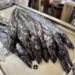 Photo taken by Mindy H