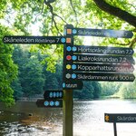 Photo taken by Eric T