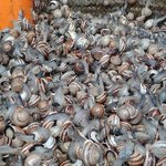 Photo taken by Maria R