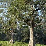 Photo taken by Meenakshi B