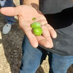 Photo taken by Dee C