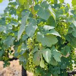 Photo taken by Susan W