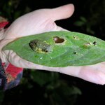 Photo taken by Tiphanny C